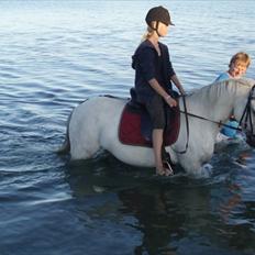 Anden særlig race Betty