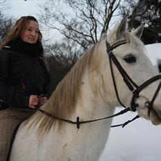 Anden særlig race Karlsbjerggårs´s Shadow A