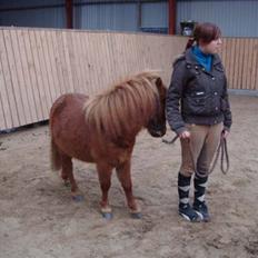 Anden særlig race Ferrari *Solgt*