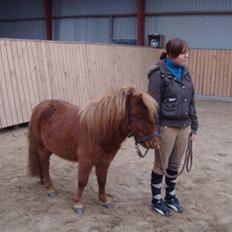 Anden særlig race Ferrari *Solgt*