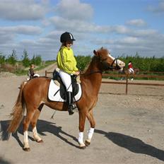 Anden særlig race Miss Unique *solgt*