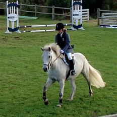 Islænder BLEIKALÁ FRA MALLE