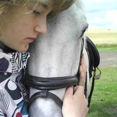 Islænder BLEIKALÁ FRA MALLE