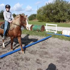 Anden særlig race Hedeboegaards Soffy, sov sødt!<3