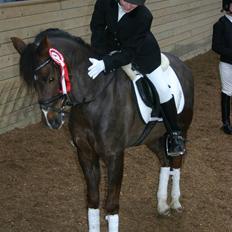 Appaloosa Bandana Joe *Byttet;/*