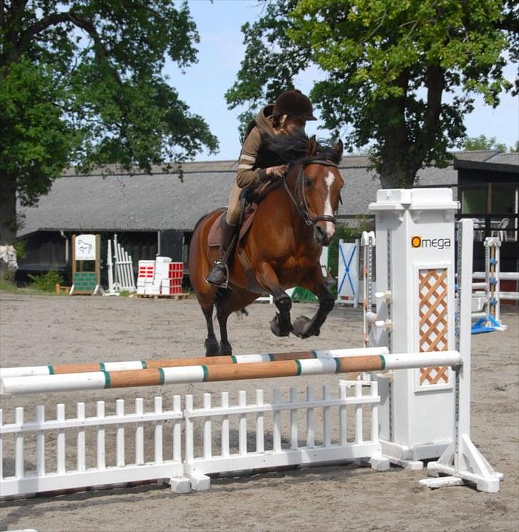 Anden særlig race Foxy Lady - træning på egene<3 billede 15