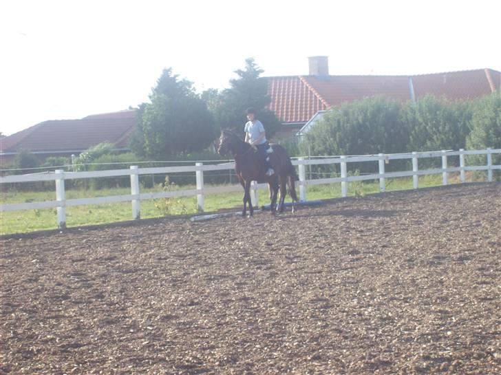 Anden særlig race cille give væk i 2008 mors billede 5