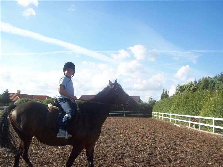 Anden særlig race cille give væk i 2008 mors billede 6