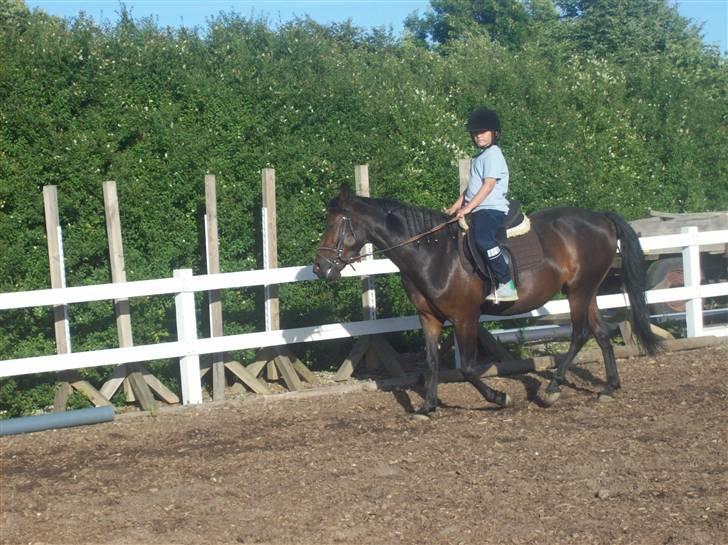 Anden særlig race cille give væk i 2008 mors billede 7