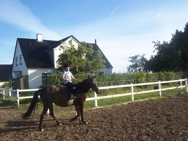 Anden særlig race cille give væk i 2008 mors billede 8