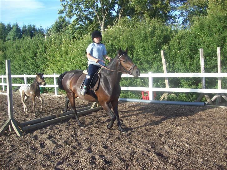 Anden særlig race cille give væk i 2008 mors billede 9