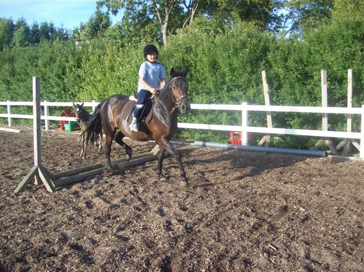 Anden særlig race cille give væk i 2008 mors billede 10