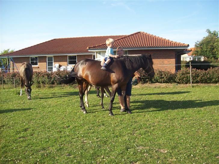 Anden særlig race cille give væk i 2008 mors - mads på 3 år hygge med cille billede 11