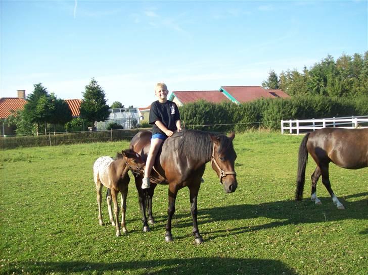 Anden særlig race cille give væk i 2008 mors billede 12