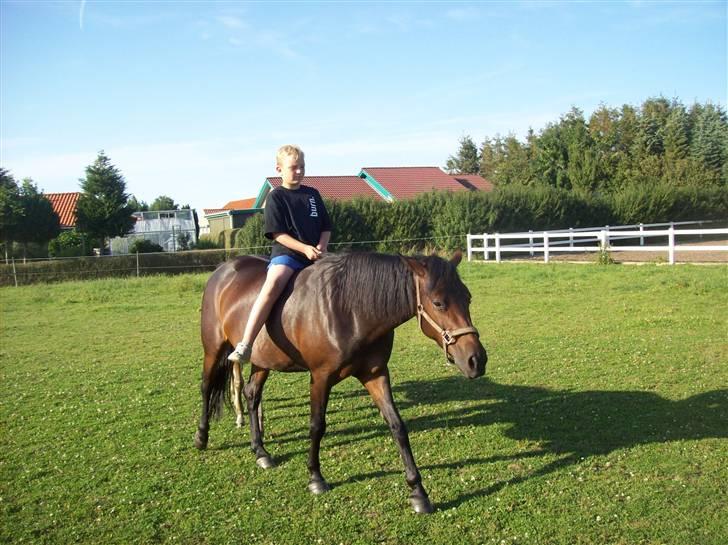 Anden særlig race cille give væk i 2008 mors - morten på 9 år hygge med cille  billede 13