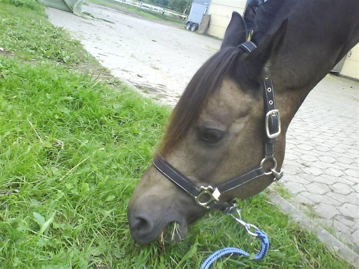 Anden særlig race - Joost :-) -  Hejsa derude og velkommen til Joost´s Profil (:. NYD TUREN :D! billede 1