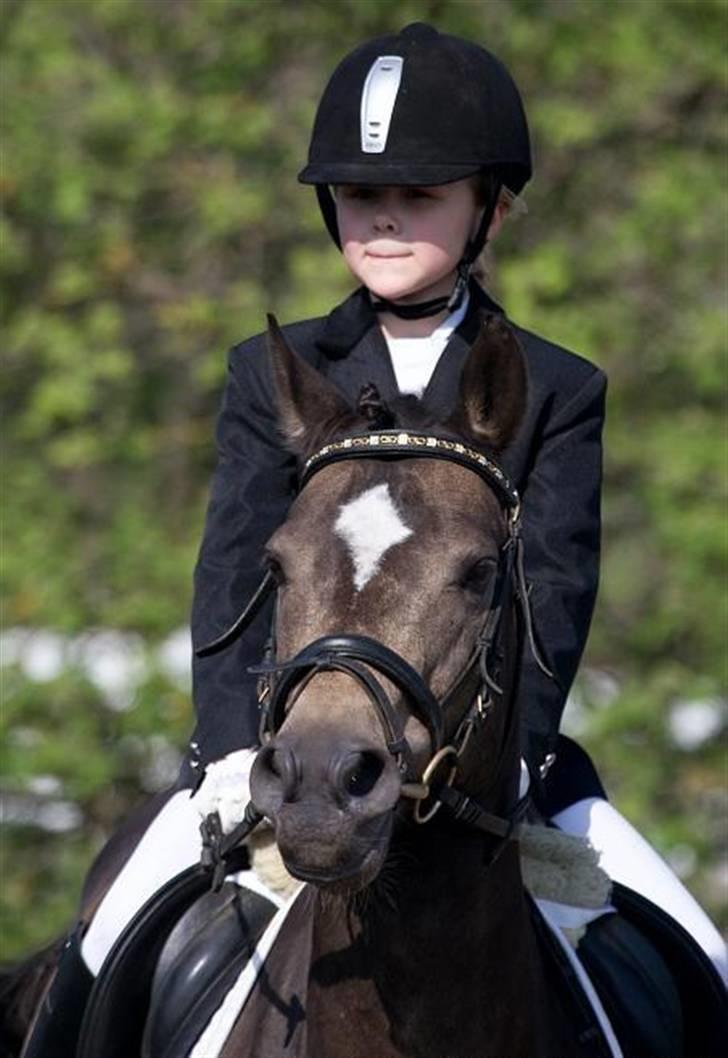 Anden særlig race - Joost :-) - Ligeee et dressur billede fra et stævne thihi :D!. billede 2