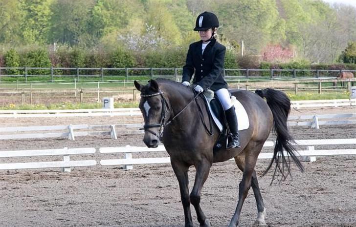 Anden særlig race - Joost :-) - Og et til :D! (Fra det samme stævne :o) ) billede 3