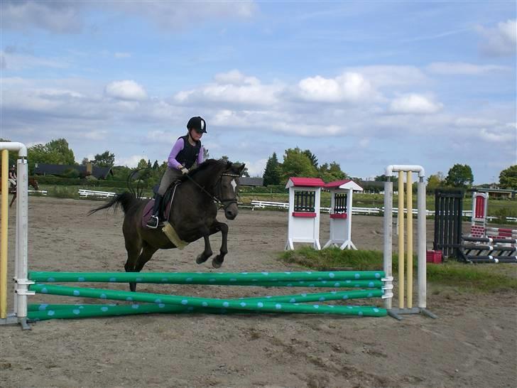 Anden særlig race - Joost :-) - over en lodret , wiiiiiii! :D billede 5