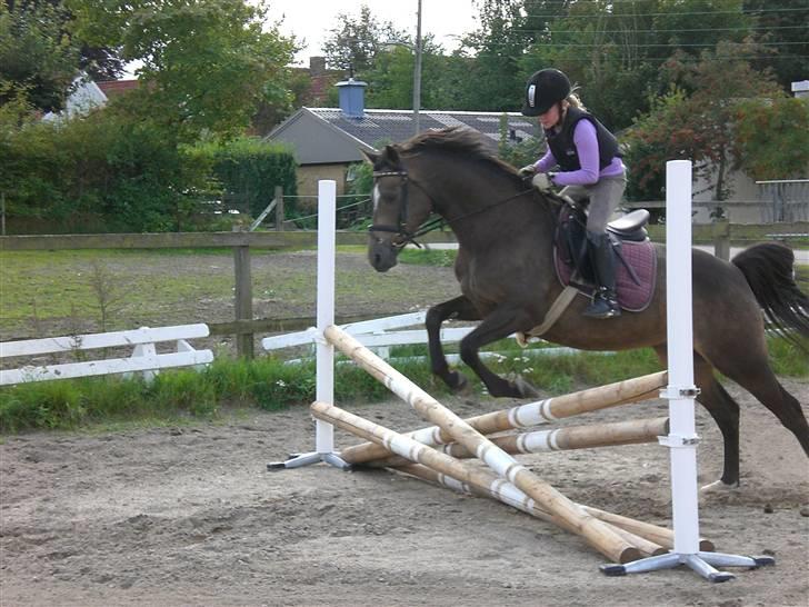 Anden særlig race - Joost :-) - Naturspring forfra ;D. billede 6