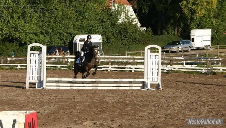 Anden særlig race - Joost :-) - Springstævne (: billede 9