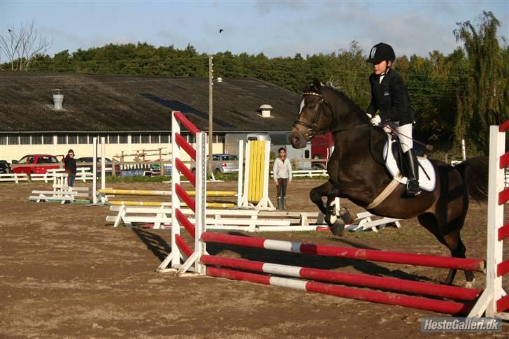 Anden særlig race - Joost :-) - Springstævne (: billede 10