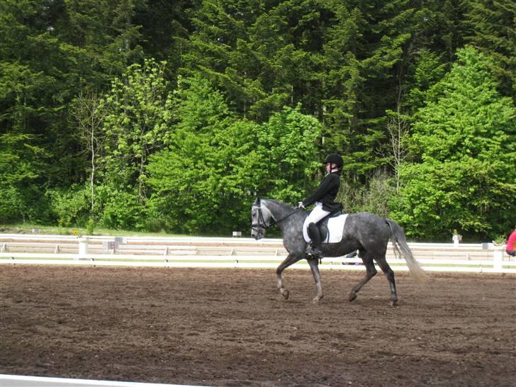 Anden særlig race Gnist <3 solgt =) - velkommen til Gnistes profil billede 1