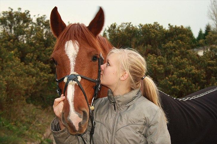 Anden særlig race Bernando - . mmm nam du smager godt ;) (tagert lige før han slikker mig:P) Foto: Maja billede 14