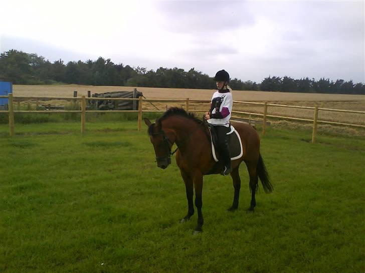 Traver Condo (død)  billede 2