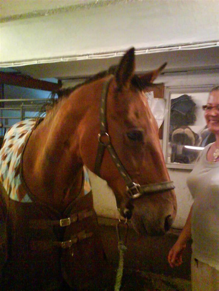 Traver Condo (død)  billede 5