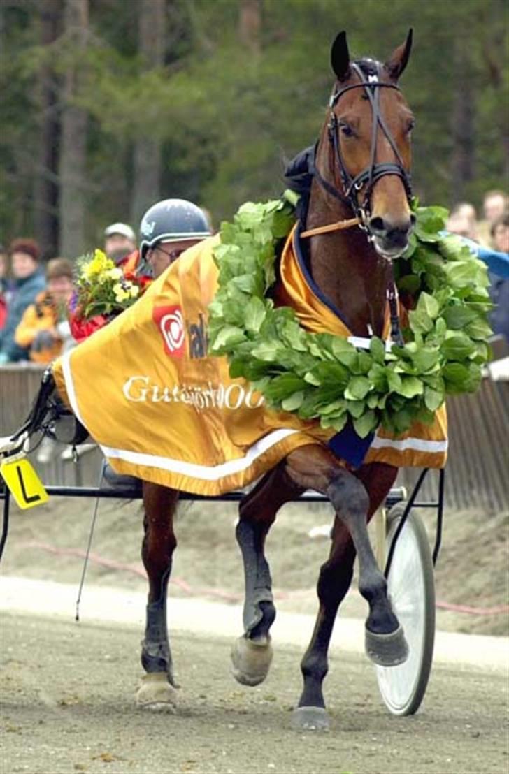 Traver Condo (død)  - Et billed fra hans løb billede 6