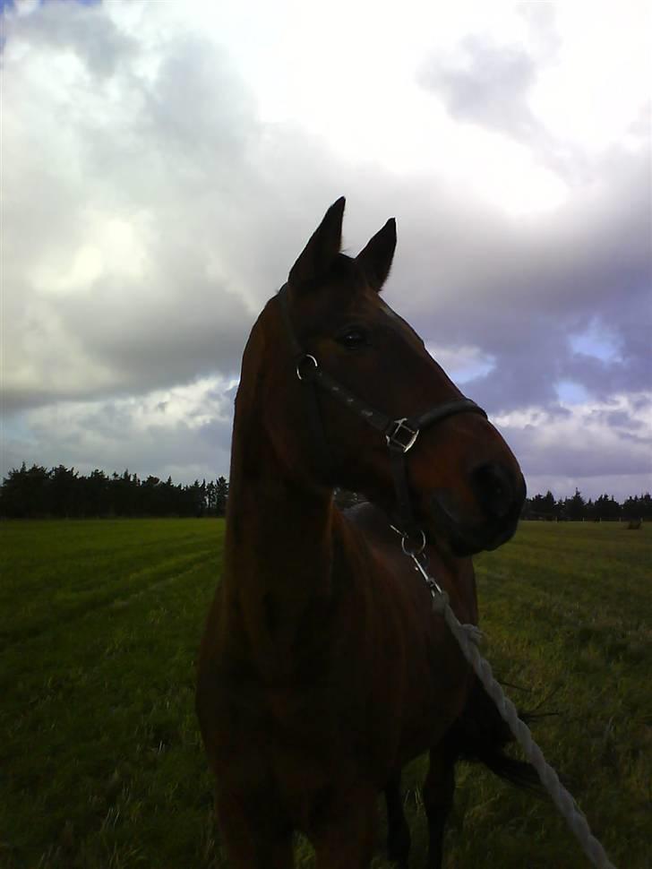 Traver Condo (død)  - 17 dage tilbage med ham... Det er forfærdeligt, at kunne tælle ned hvor mange dage har tilbage med en man elsker <3 billede 18