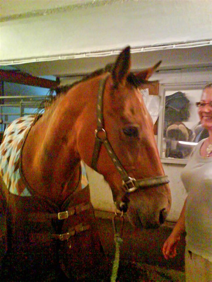 Traver Condo (død)  billede 19