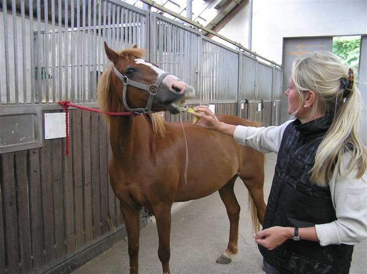 Anden særlig race Rosita<3 (møffe) - (lækkert) min mor fodrer smukke.. billede 7