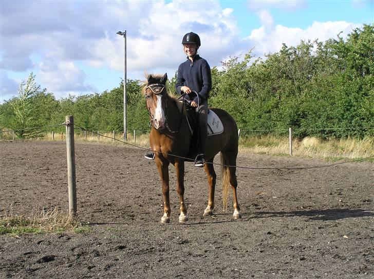 Anden særlig race Rosita<3 (møffe) - jeg elsker at ride diig (MØFFE) <3<3<3<3<3 billede 8