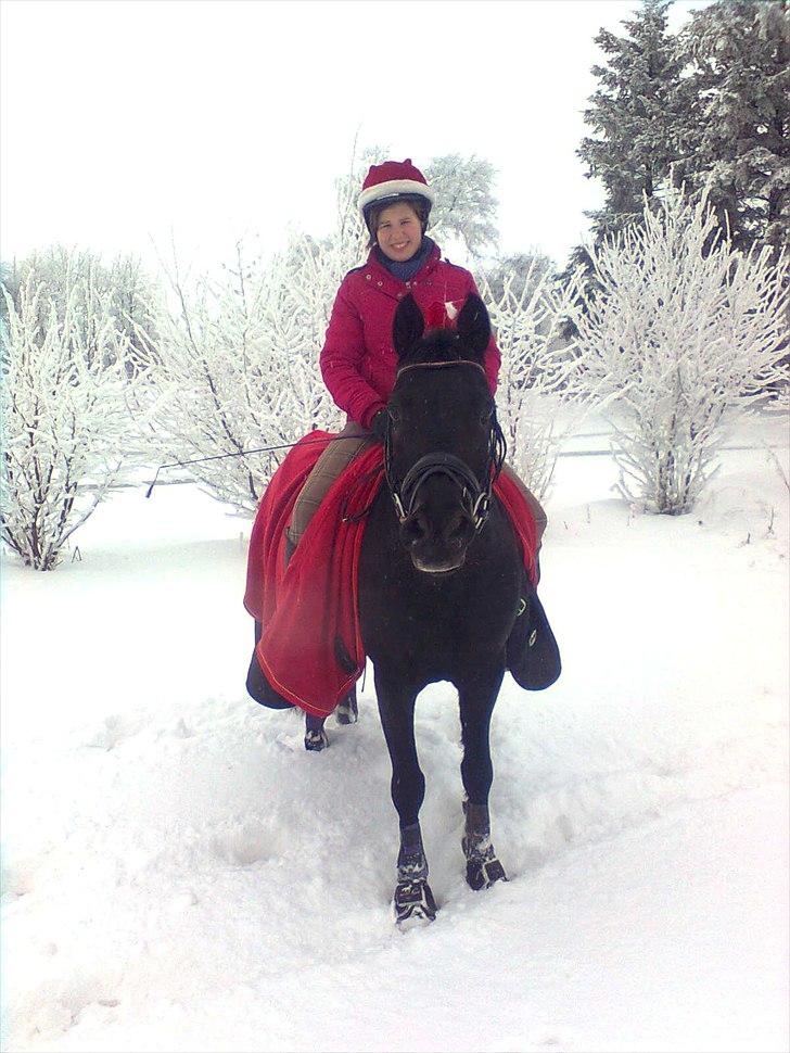 DSP Bethoven af stensnæs B-pony - min smukke dreng og jeg ude og ride i snevejr :D billede 2