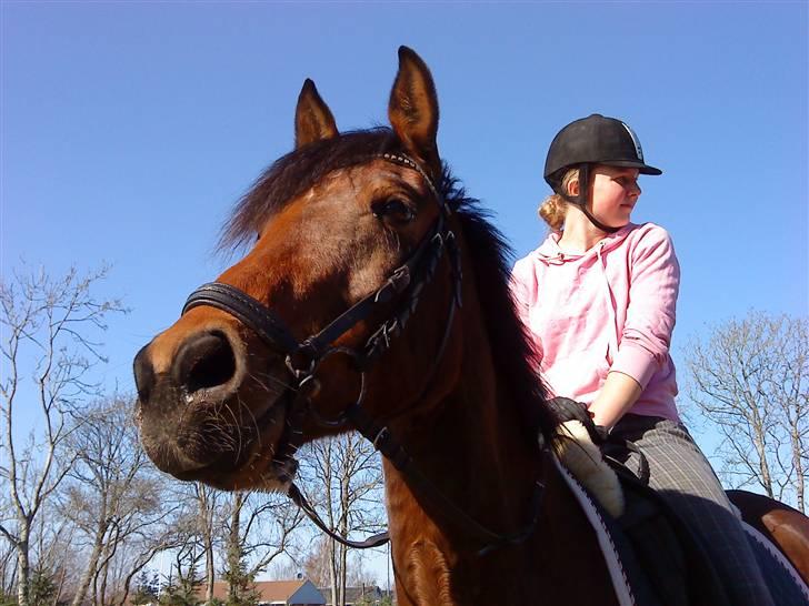 Anden særlig race Aukje "Lille'pigen" <3 - Foto: Stine billede 1