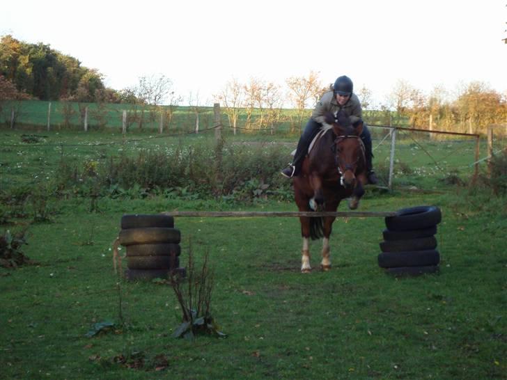 Anden særlig race Victoria - Et fint lille spring, som jeg lige ville have min far til at tage et billede af ;-) billede 19