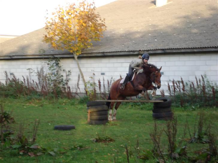 Anden særlig race Victoria - Endnu et spring :-) billede 20