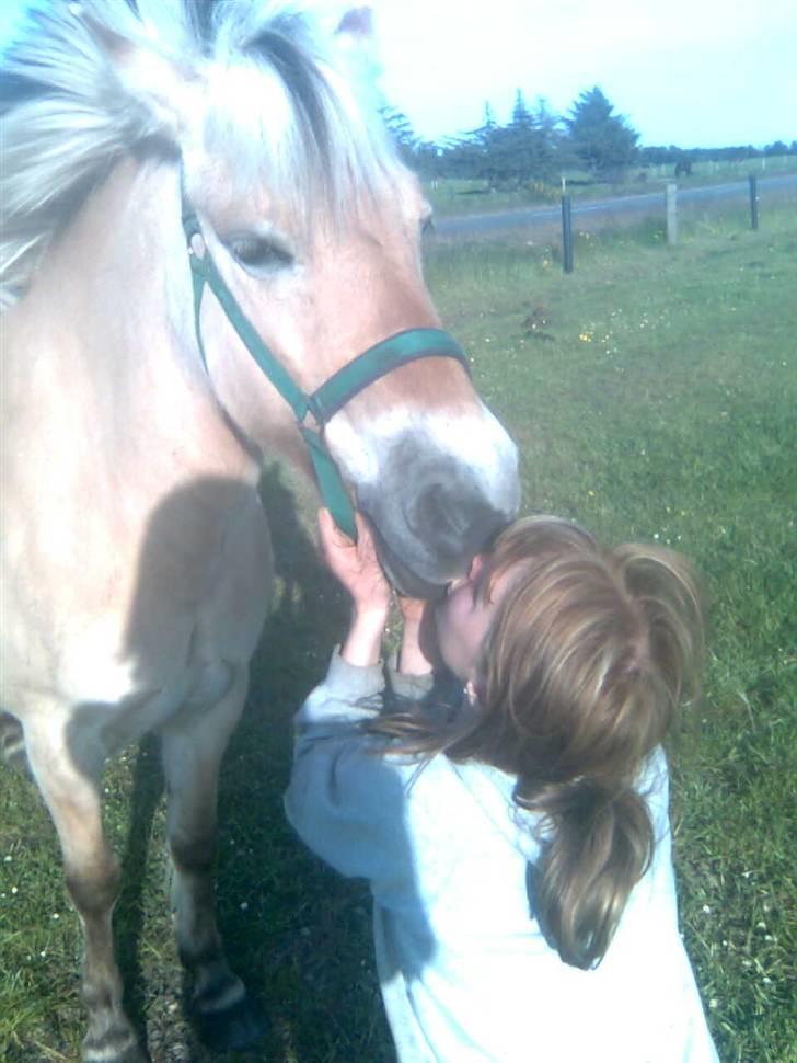Fjordhest sofie (slogt) - mig og sofie mysser billede 7
