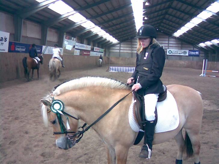 Fjordhest sofie (slogt) - 3 plas i lx billede 10