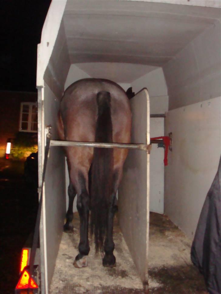 Traver Badutski  16/10-08 - Da hun stod i traileren og skulle til at afsted /; billede 7