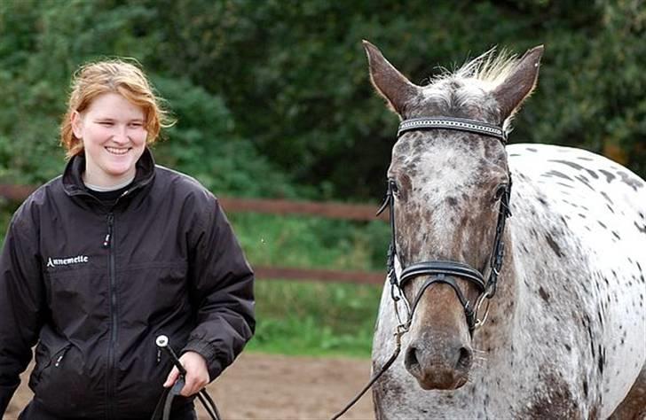 Knabstrupper Loudinna - mor hest hehe billede 18