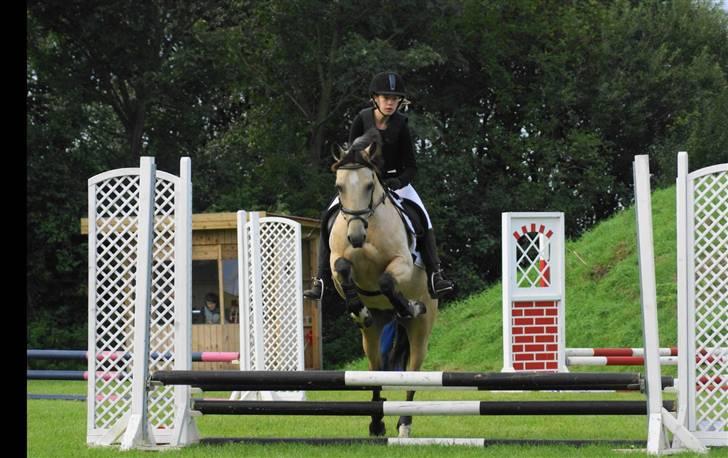 Anden særlig race Chanel *Solgt* - Til springstævne på Tougård. billede 5