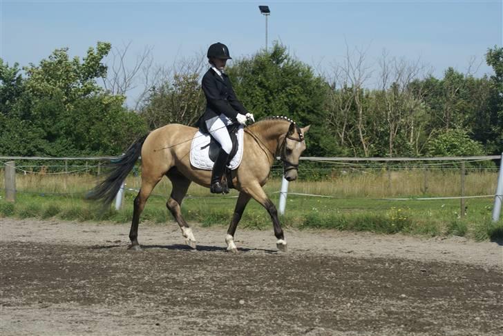Anden særlig race Chanel *Solgt* - Smukke Chanel <33  Taget af Lea ;) billede 9