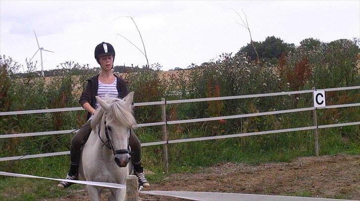 Anden særlig race Betty - min fantastiske pony og miiq lidt dressur uden sadel, sommer 2010  ;) billede 2