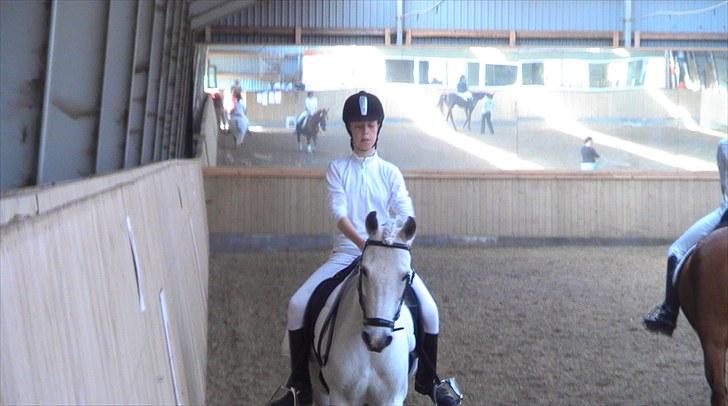 Anden særlig race Betty - Stævne i Rødekro, hun var fantastisk 2 plads i LC1 og 7 plads i LC3 første ude dressurstævne.. !! (; juni 2010 billede 6