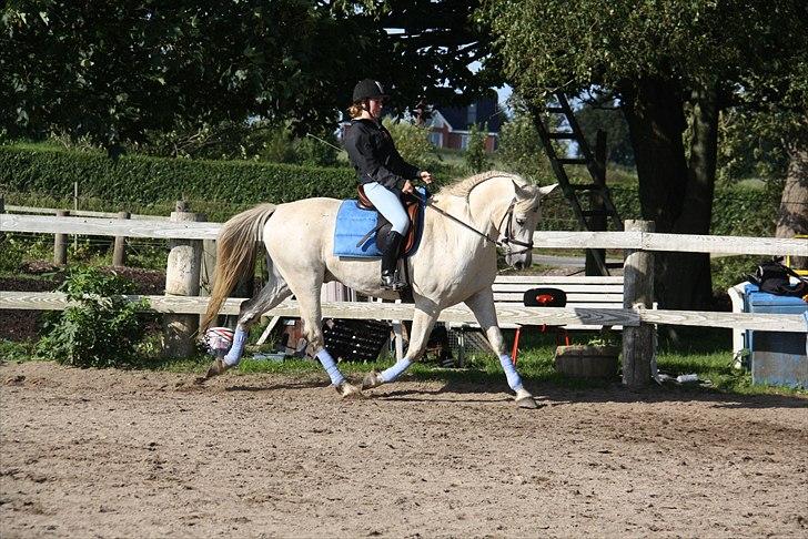 Anden særlig race Karlsbjerggårs´s Shadow A - 2 # Cille og Shadow, træning sommer 2010. Foto Jeanett billede 2