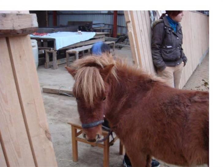 Anden særlig race Ferrari *Solgt* billede 1