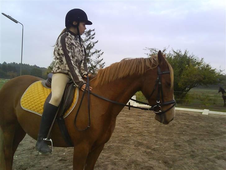 DSP Dublin  billede 14